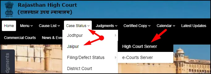 Create User Case Details for High Court Status Check