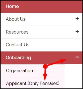 Select Onboarding for  Work From Home Yojana Apply Rajasthan